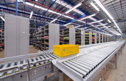 Colby Carton Conveyor